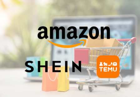 Temu and Amazon have each gained close to a million shoppers in the last year, Shein has also gained over half a million shoppers