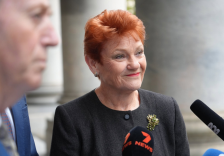 One Nation support is strongest among electors born in South Africa and Italy and weakest among electors born in Asia